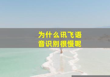 为什么讯飞语音识别很慢呢