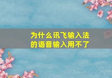 为什么讯飞输入法的语音输入用不了