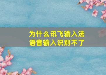 为什么讯飞输入法语音输入识别不了