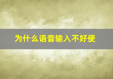 为什么语音输入不好使