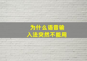 为什么语音输入法突然不能用