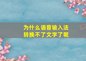 为什么语音输入法转换不了文字了呢