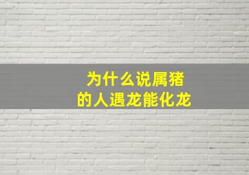 为什么说属猪的人遇龙能化龙