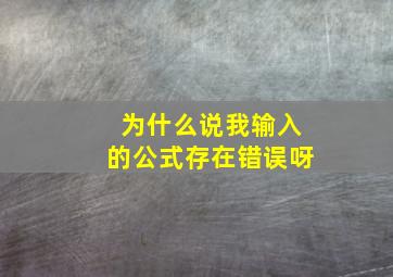 为什么说我输入的公式存在错误呀