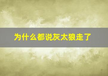 为什么都说灰太狼走了