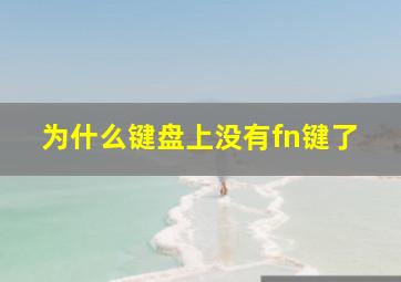 为什么键盘上没有fn键了