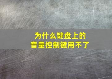 为什么键盘上的音量控制键用不了