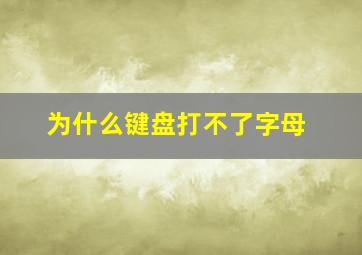 为什么键盘打不了字母