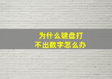 为什么键盘打不出数字怎么办