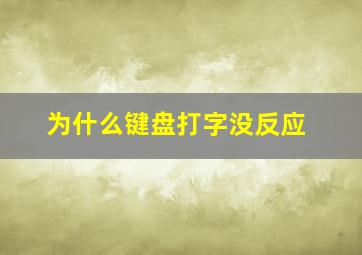 为什么键盘打字没反应