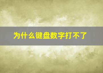 为什么键盘数字打不了