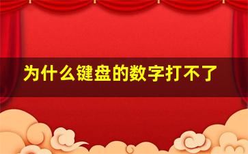 为什么键盘的数字打不了