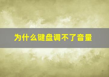 为什么键盘调不了音量