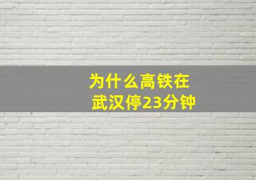 为什么高铁在武汉停23分钟