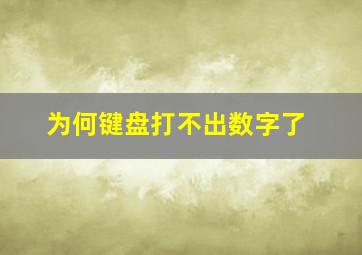 为何键盘打不出数字了