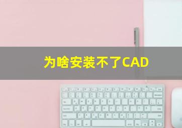 为啥安装不了CAD