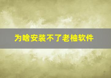 为啥安装不了老柚软件