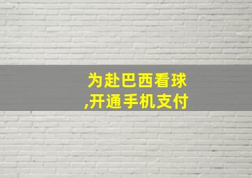 为赴巴西看球,开通手机支付