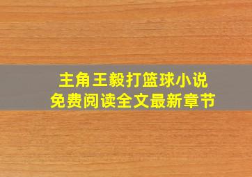 主角王毅打篮球小说免费阅读全文最新章节