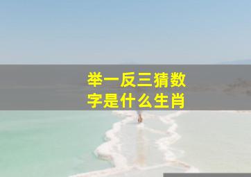 举一反三猜数字是什么生肖