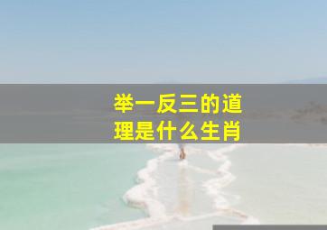 举一反三的道理是什么生肖