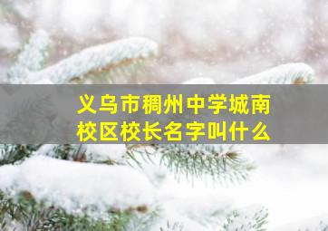 义乌市稠州中学城南校区校长名字叫什么