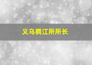 义乌稠江所所长