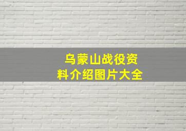 乌蒙山战役资料介绍图片大全