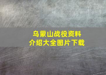 乌蒙山战役资料介绍大全图片下载