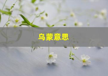 乌蒙意思