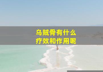 乌贼骨有什么疗效和作用呢