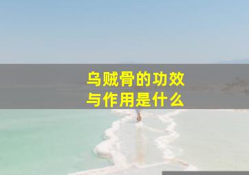 乌贼骨的功效与作用是什么