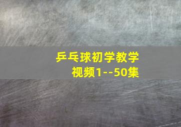 乒乓球初学教学视频1--50集