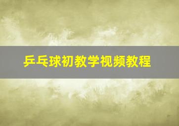 乒乓球初教学视频教程