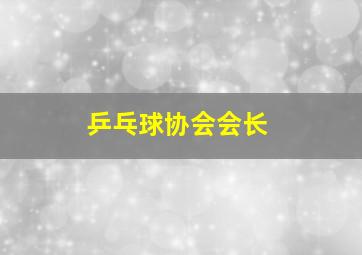 乒乓球协会会长