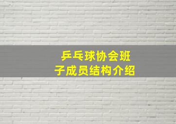 乒乓球协会班子成员结构介绍