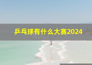 乒乓球有什么大赛2024