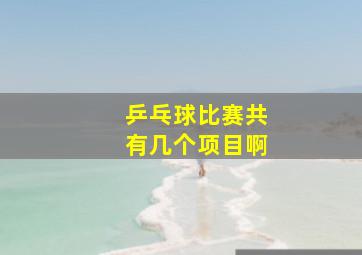 乒乓球比赛共有几个项目啊