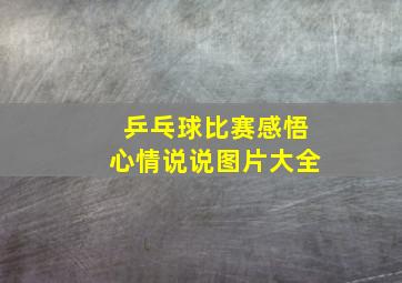 乒乓球比赛感悟心情说说图片大全