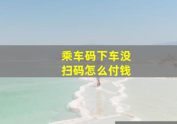 乘车码下车没扫码怎么付钱