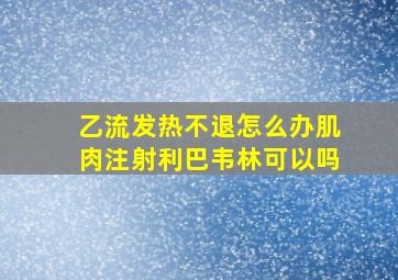 乙流发热不退怎么办肌肉注射利巴韦林可以吗