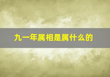 九一年属相是属什么的