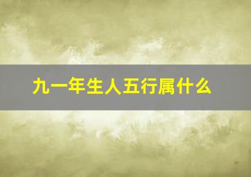 九一年生人五行属什么