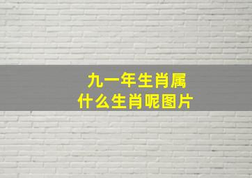 九一年生肖属什么生肖呢图片