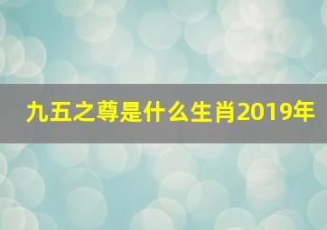 九五之尊是什么生肖2019年