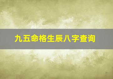 九五命格生辰八字查询