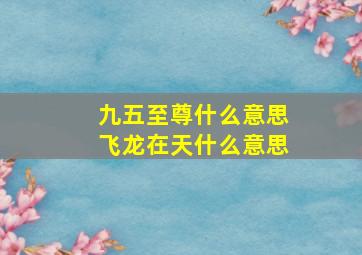 九五至尊什么意思飞龙在天什么意思