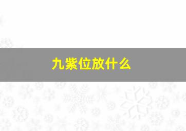 九紫位放什么