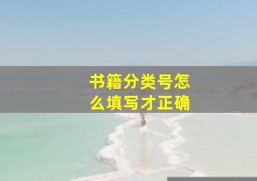 书籍分类号怎么填写才正确