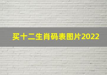 买十二生肖码表图片2022